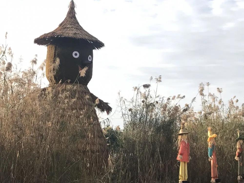 春暖花开来农村踏青,春暖花开亲近大自然来一场野炊