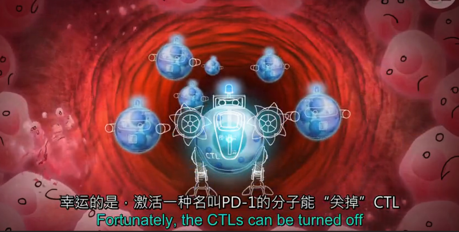 pd1肿瘤免疫治疗现状,什么是pd1免疫治疗费用