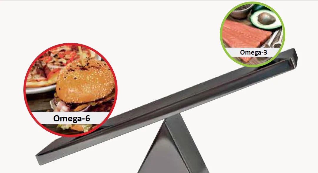 一周健康早餐（83）——饮食ω-6/ω-3比值高有什么危害