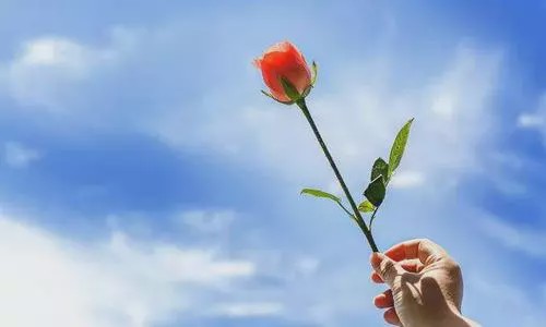 远离你身边的老实人深度好文,远离低级的人深度好文