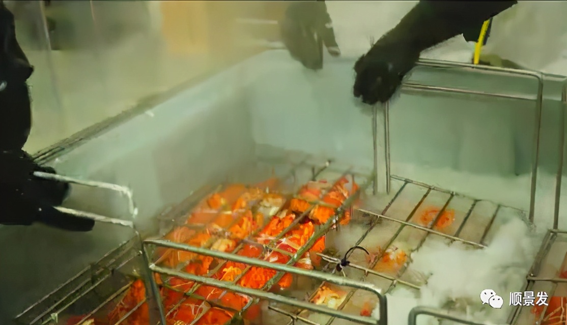 海捕船冻和鲜活船冻区别在哪里,熟冻海鲜跟冷冻海鲜有什么区别