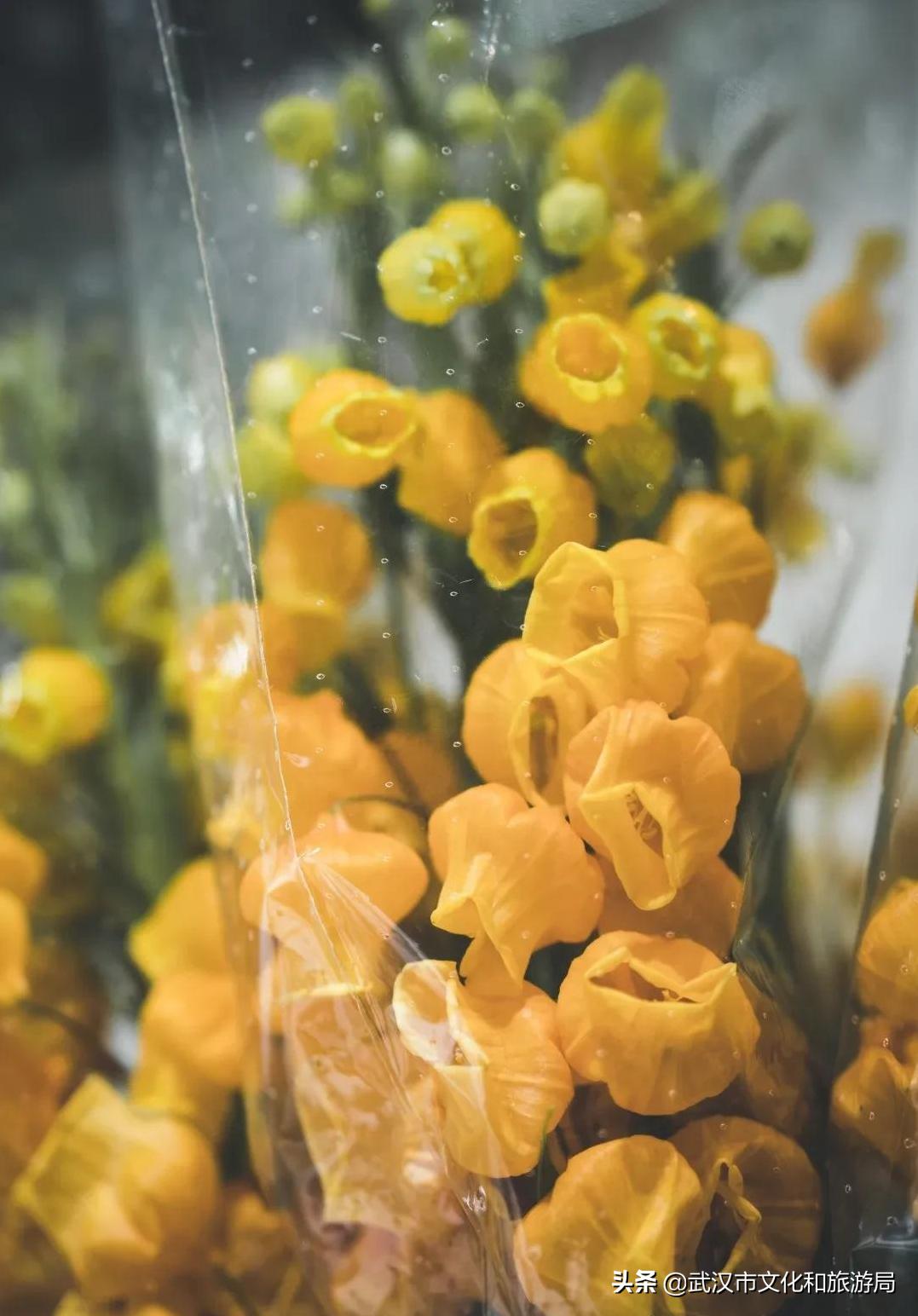 武汉私藏浪漫,私藏浪漫攻略