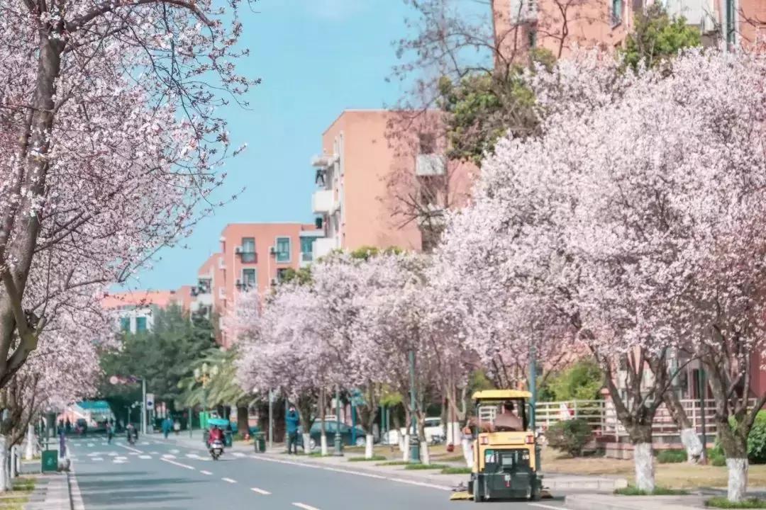 全国十大奇葩高校,奇葩高校盘点