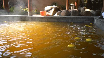 厦门天沐温泉年票,厦门天沐温泉恐龙侏罗纪