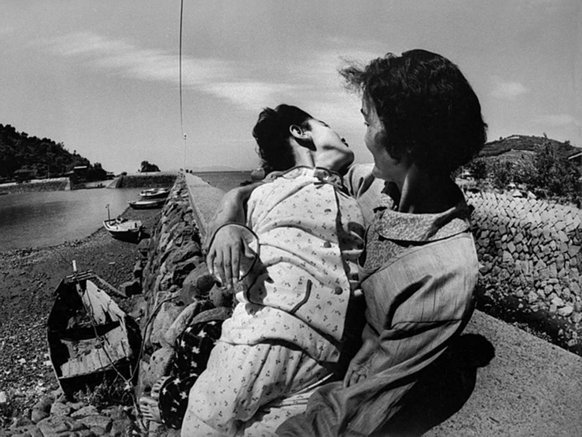 65年前在日本爆发的怪病,1952年日本猫自杀事件