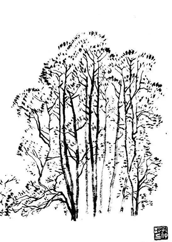 树的画法与表现技巧,树简单素描画