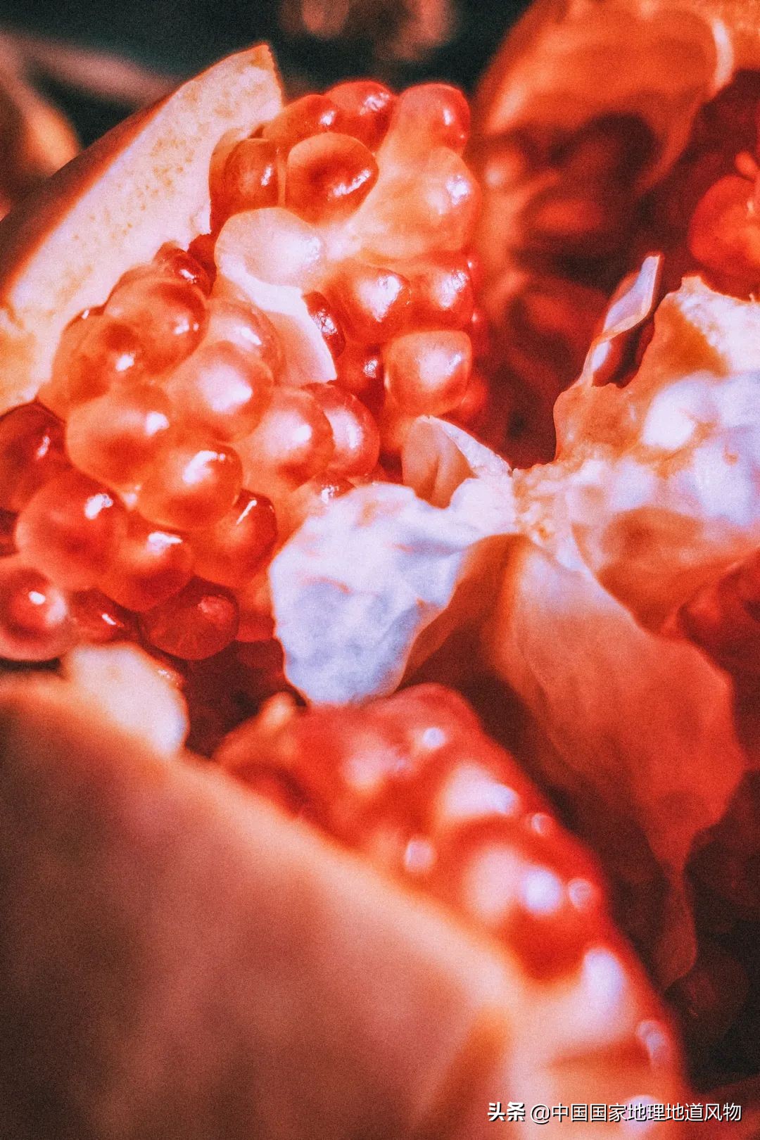 中国夏天地图全图,中国秋色地图