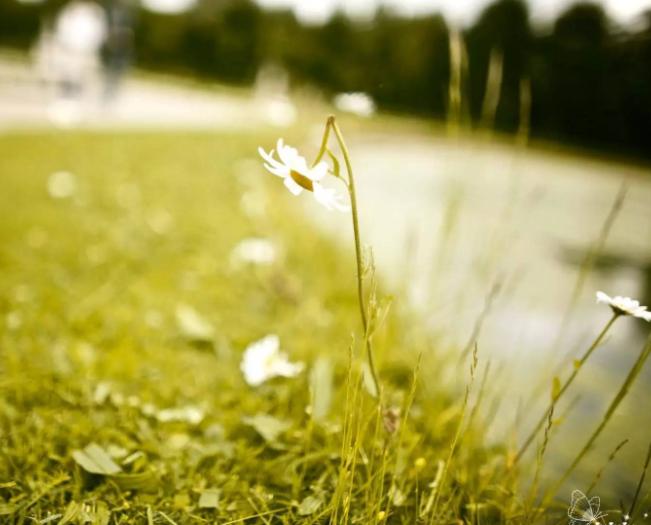 中年女人和异性聊天的后果,中年女人交往三大忌