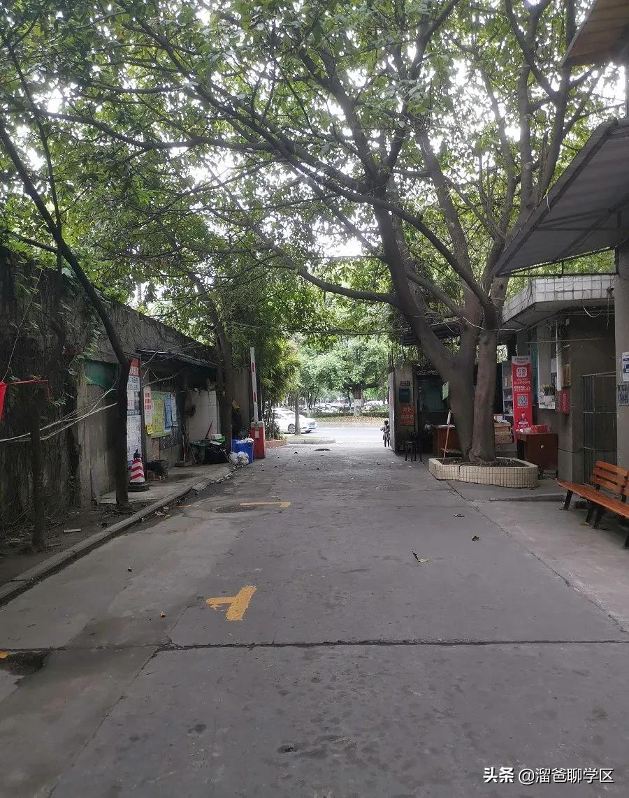 成都最适合买的小学学区房,成都实验小学对应楼盘