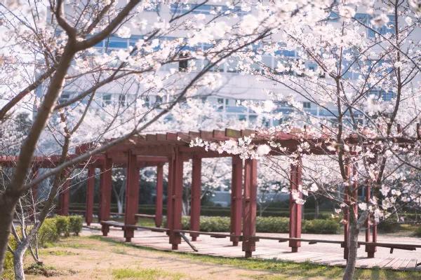 南京9所高校公布综合评价简章,南京综合评价