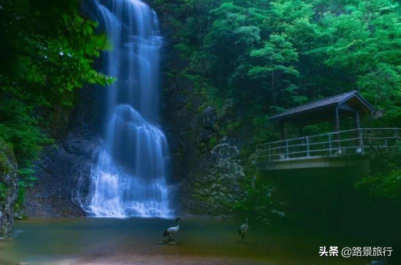 磐安开元名庭温泉酒店温泉照片,磐安大盘山开元名庭温泉酒店