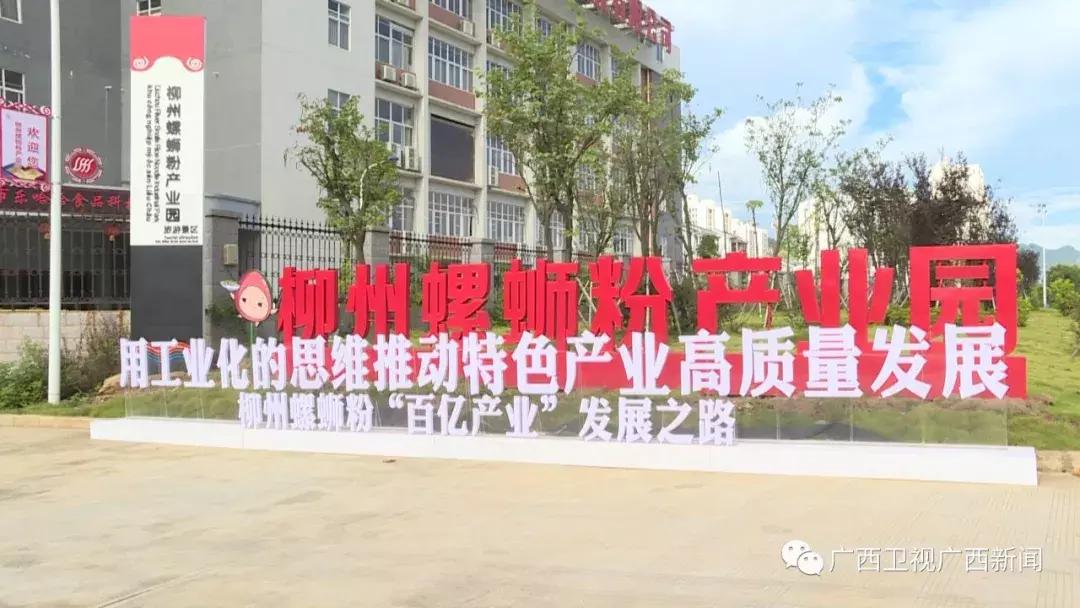 柳江区这个淘宝村太棒了！被马云看中，全广西只有3个