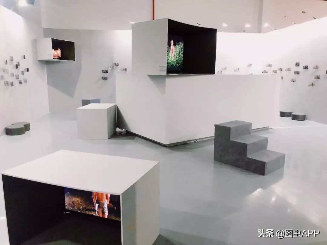 图虫opensealab摄影,图虫看动物世界系列