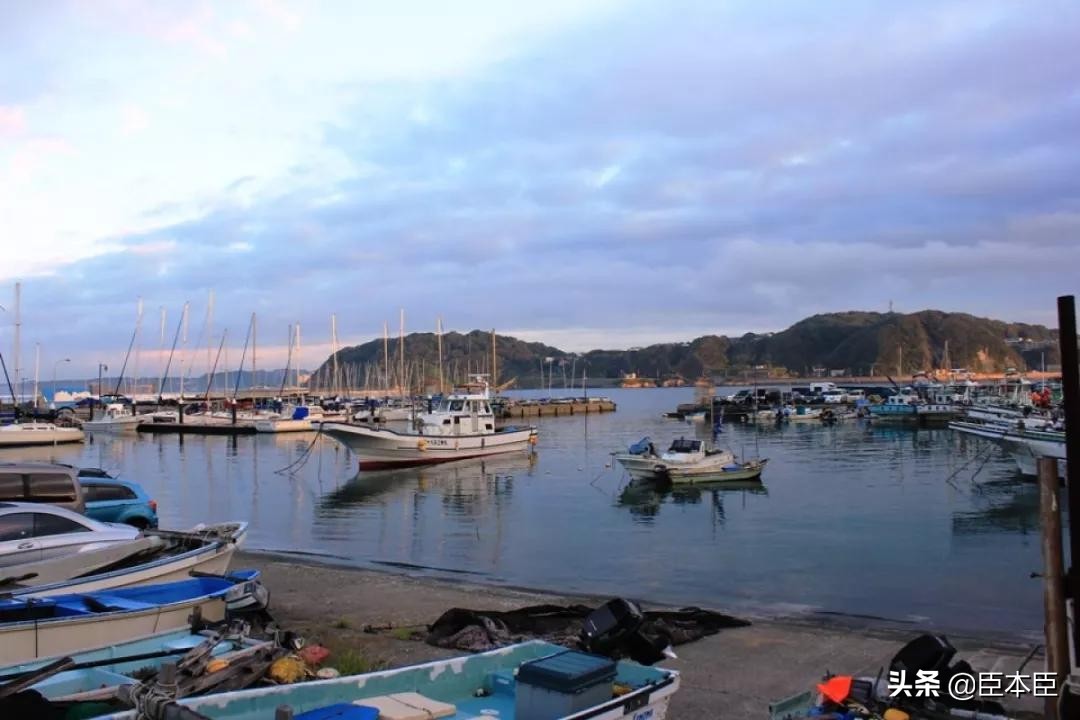 2020年东京奥运会看点大盘点,2020东京奥运会有哪些亮点