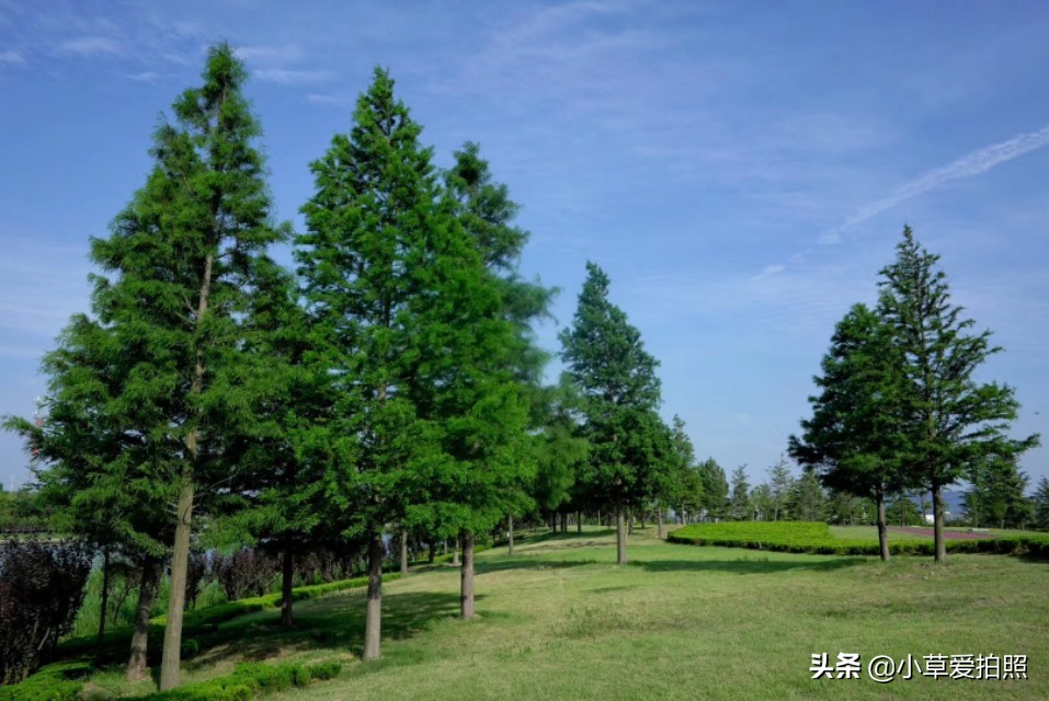 山东威海羊亭湿地公园游记,威海站到羊亭湿地公园