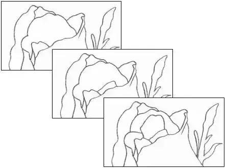 一幅素描玫瑰画如何加彩,玫瑰花束素描图片