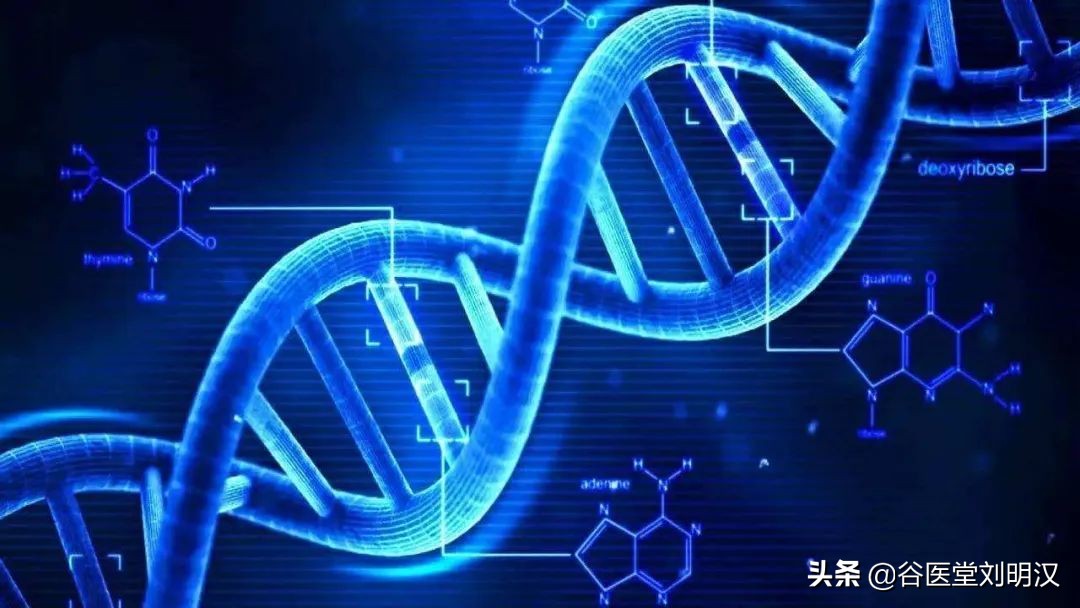 谷医堂中医馆调理,谷医堂10大经典药方