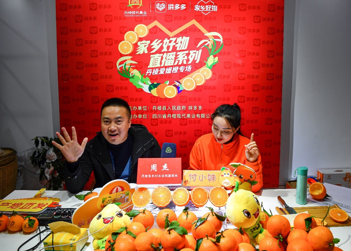 家乡好物直播江西,家乡好物山东卫视直播