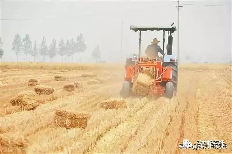 陕西省旬阳双河镇卷棚村乡村振兴,双河镇乡村振兴