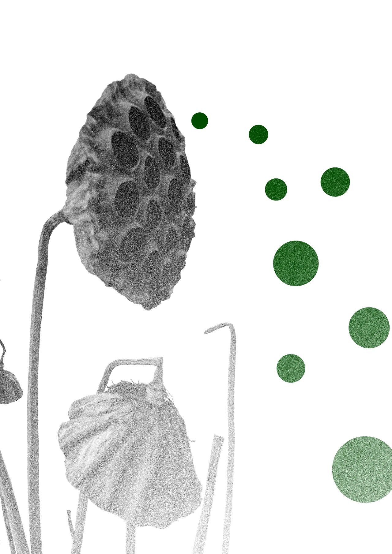 辞职创业开服装工作室,辞职创业开家居店