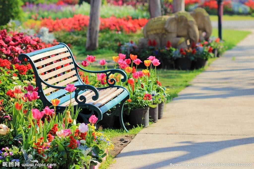 教育绝不能高高在上,不要听信所谓的教育专家的课