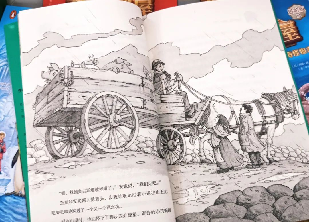 神奇树屋适合多大孩子读,神奇树屋小百科44册