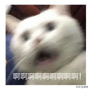 lv包包买真的好还是假的好,lv包包值得买吗