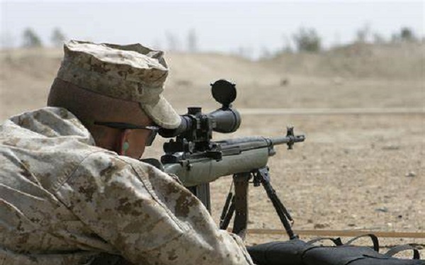 中国精准射手步枪,中国版精确射手步枪