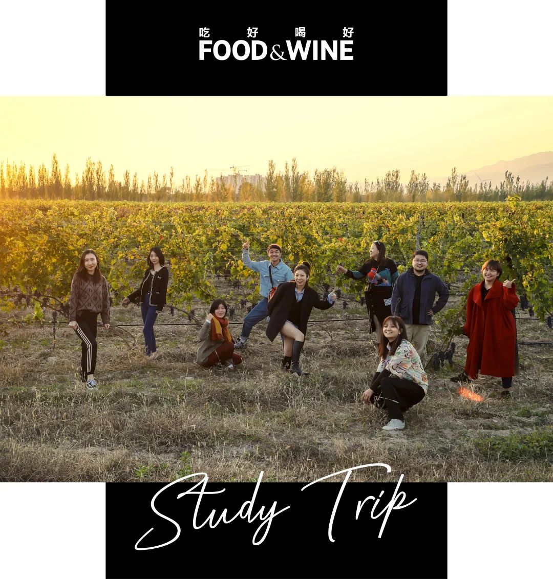 中国制造与中国制造的区别,中国造葡萄酒