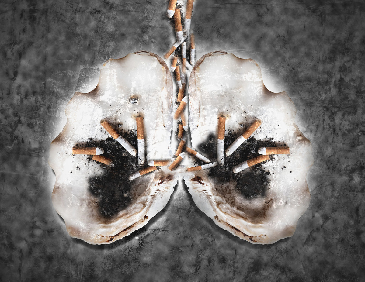 吸烟对身体的十大危害视频,吸烟有害健康请尽早戒烟