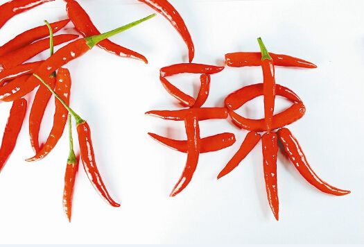 通过痛的位置（肚子、小腹、腰部），来给自己看病