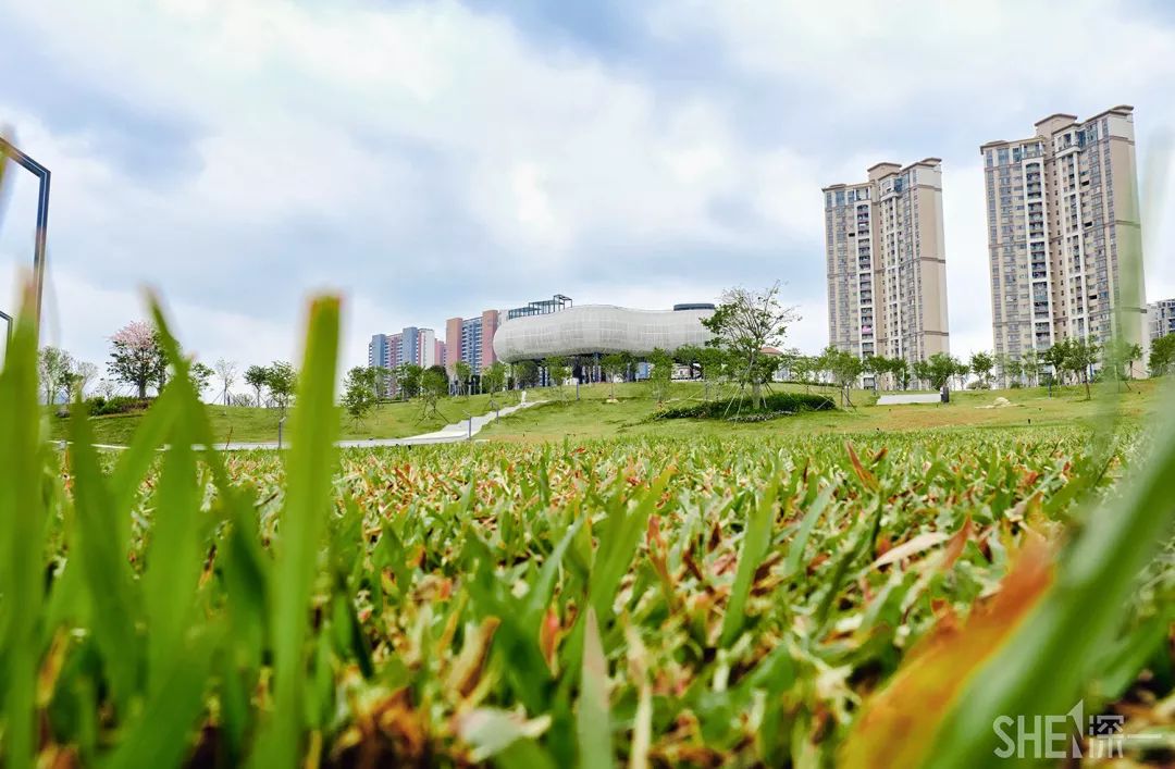 深圳龙华公园推荐,深圳龙华免费公园