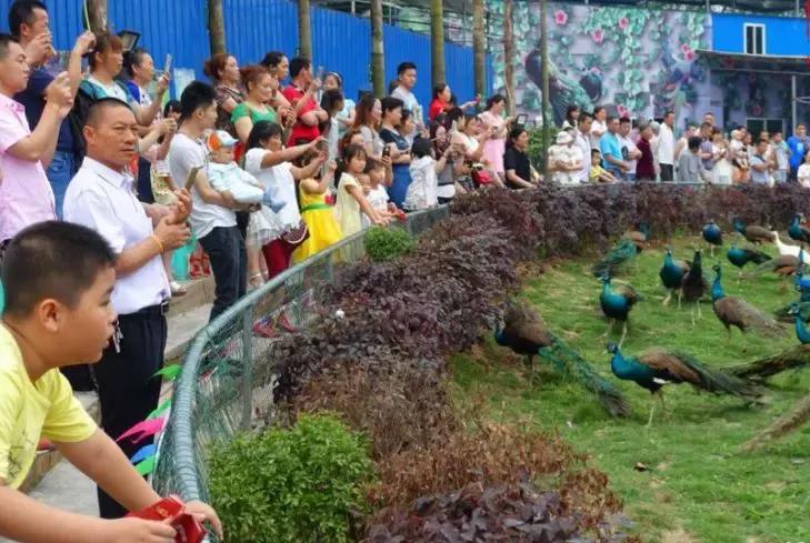 重庆股份转让中心在哪呢,重庆市股份转让中心