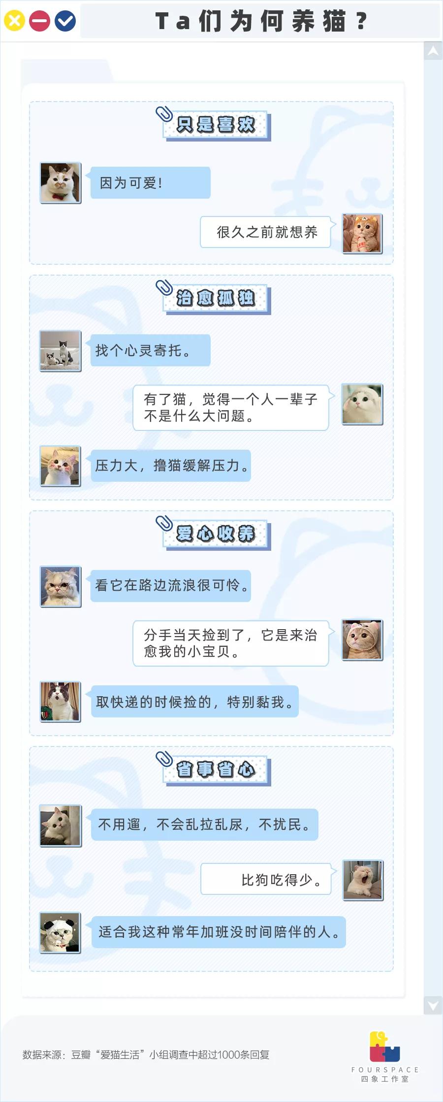 养猫的经历和收获,养猫的收获有哪些