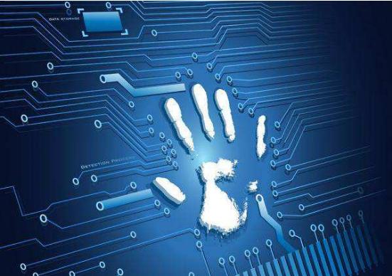 涨知识了网络词,关于域名的科普知识