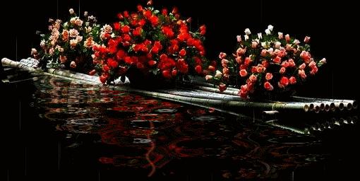 5201314，送你999玫瑰花，祝你爱情甜甜蜜蜜