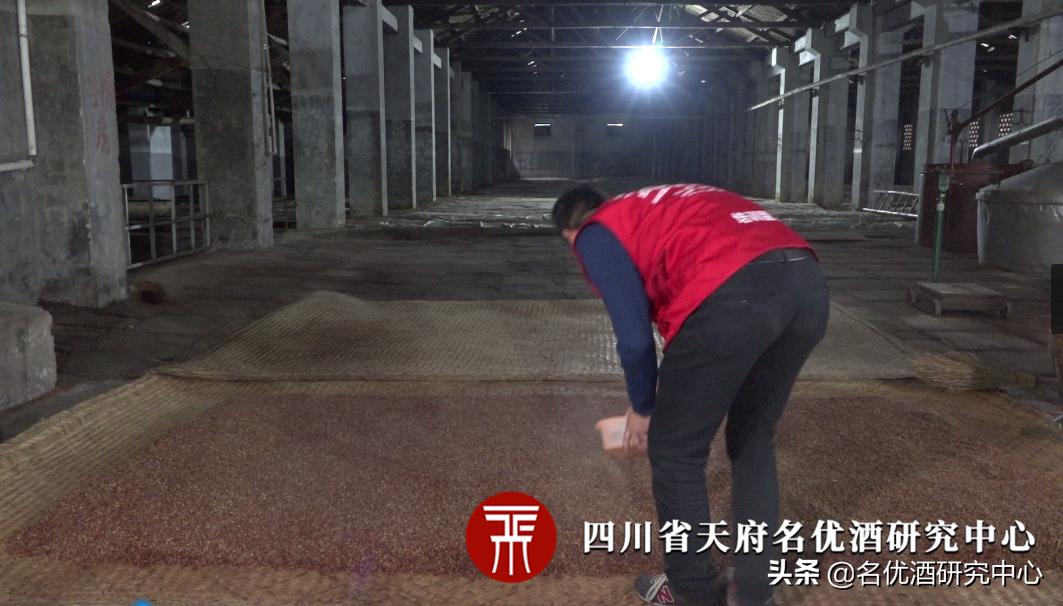 白酒苦酒的解决方法,白酒中的苦味怎么处理