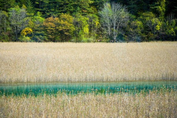 驴妈妈优惠券,驴妈妈门票团购蓬莱极地海洋世界