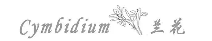 早春最流行的珠宝搭配,什么穿搭可以戴夸张的珠宝