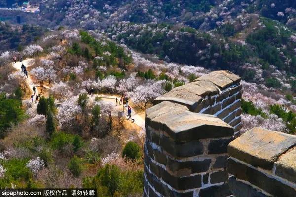 北京各景点今天对外开放的有哪些,北京各景点开放时间表