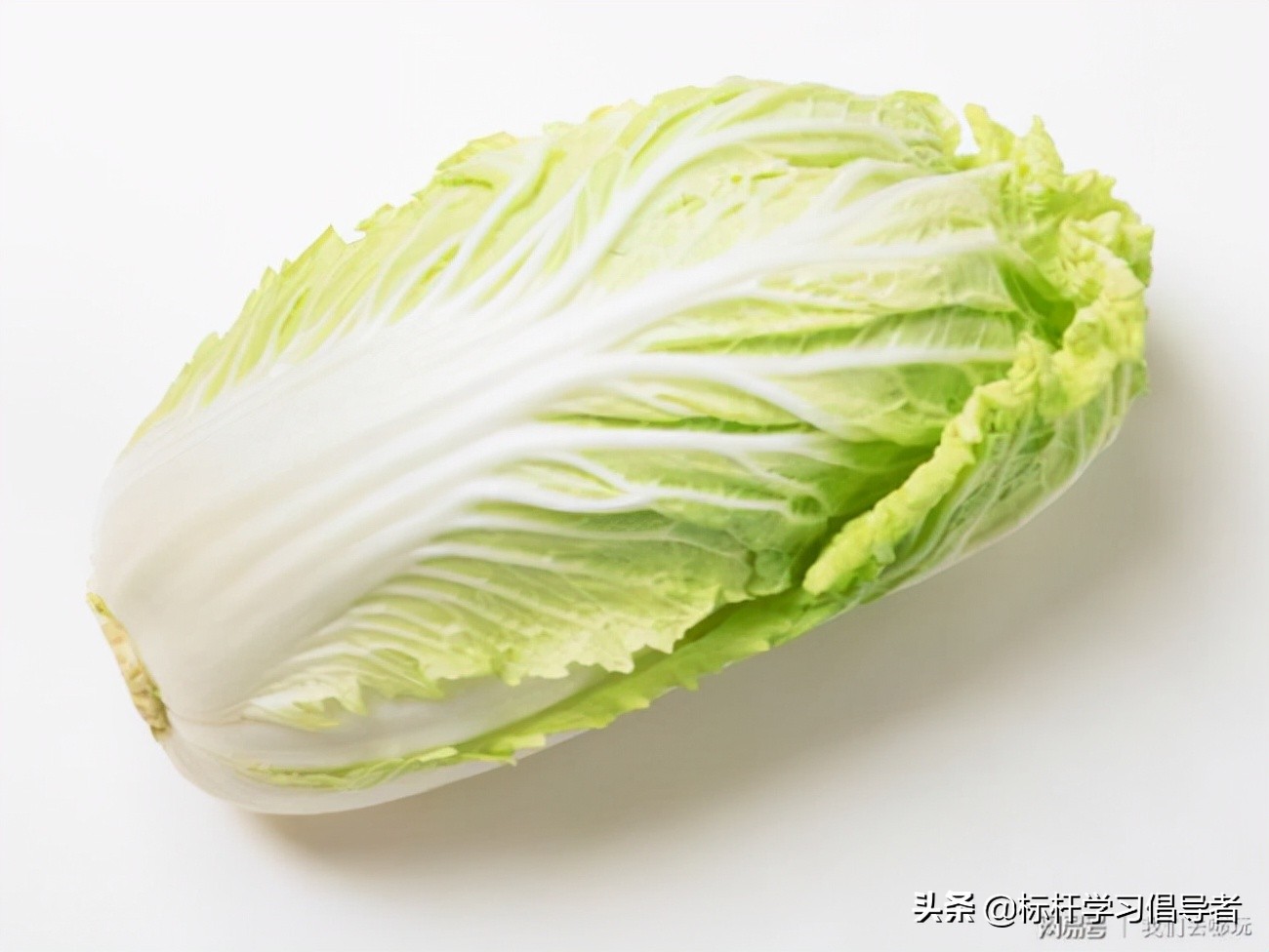 今天菜价比肉贵,今年菜价为什么比肉贵