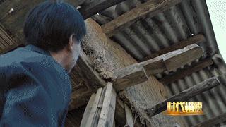 人民大会堂推销土豆，收1500个农民学生，10亿专利无偿送出，64岁的农民院士朱有勇火了！