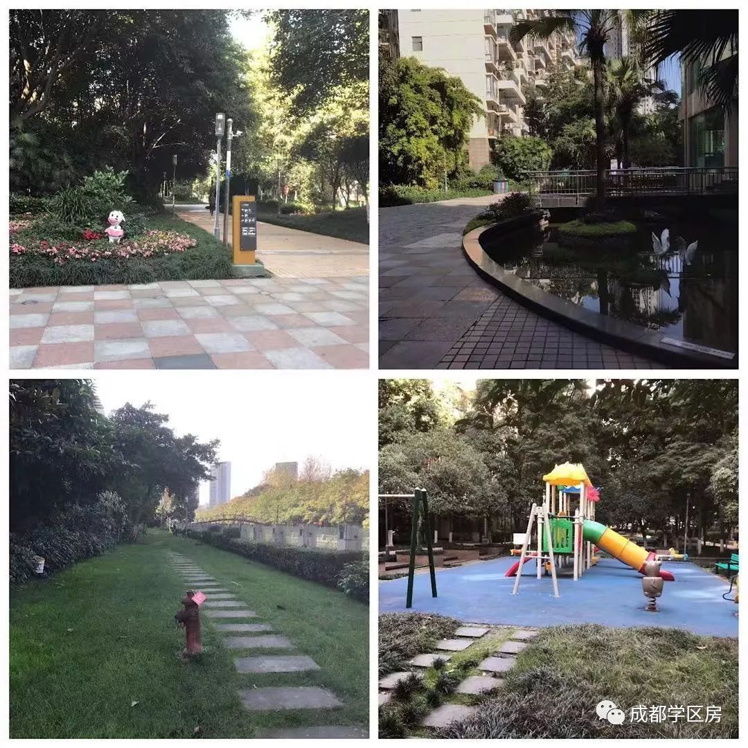 成师附小分校有哪些,成师附小哪个分校最好