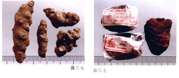 中药材真伪鉴别常用的方法有哪些,中药材真伪鉴别彩色图谱大全