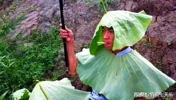 杭州钓友水上漂,钓鱼人在水中间钓鱼