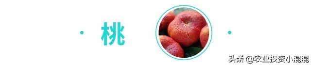 猕猴桃中国最好吃的品种,中国猕猴桃什么品种最好吃