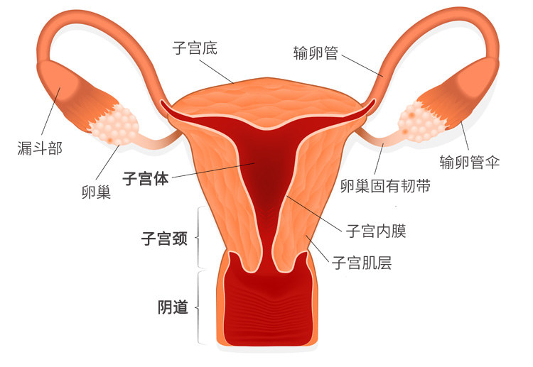 这些沙雕生活小妙招你学废了吗,这些奇葩的养生方法你敢试吗