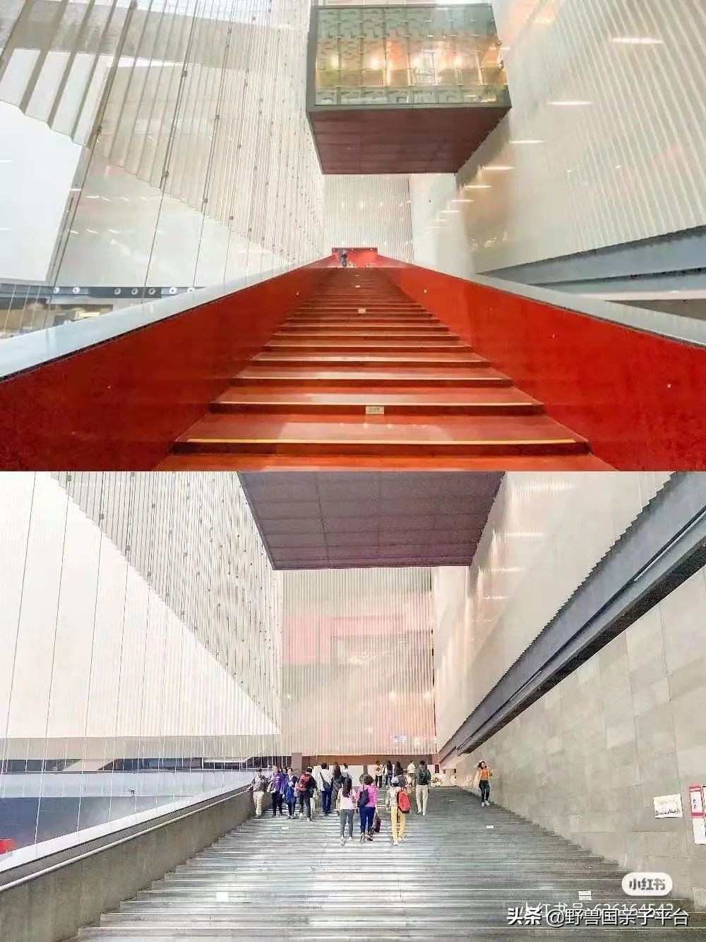 广州遛娃旅游推荐路线攻略,广州遛娃清单升级版