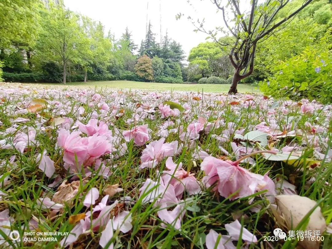 努比亚play和红米note10pro哪个好,努比亚play详细细节测评