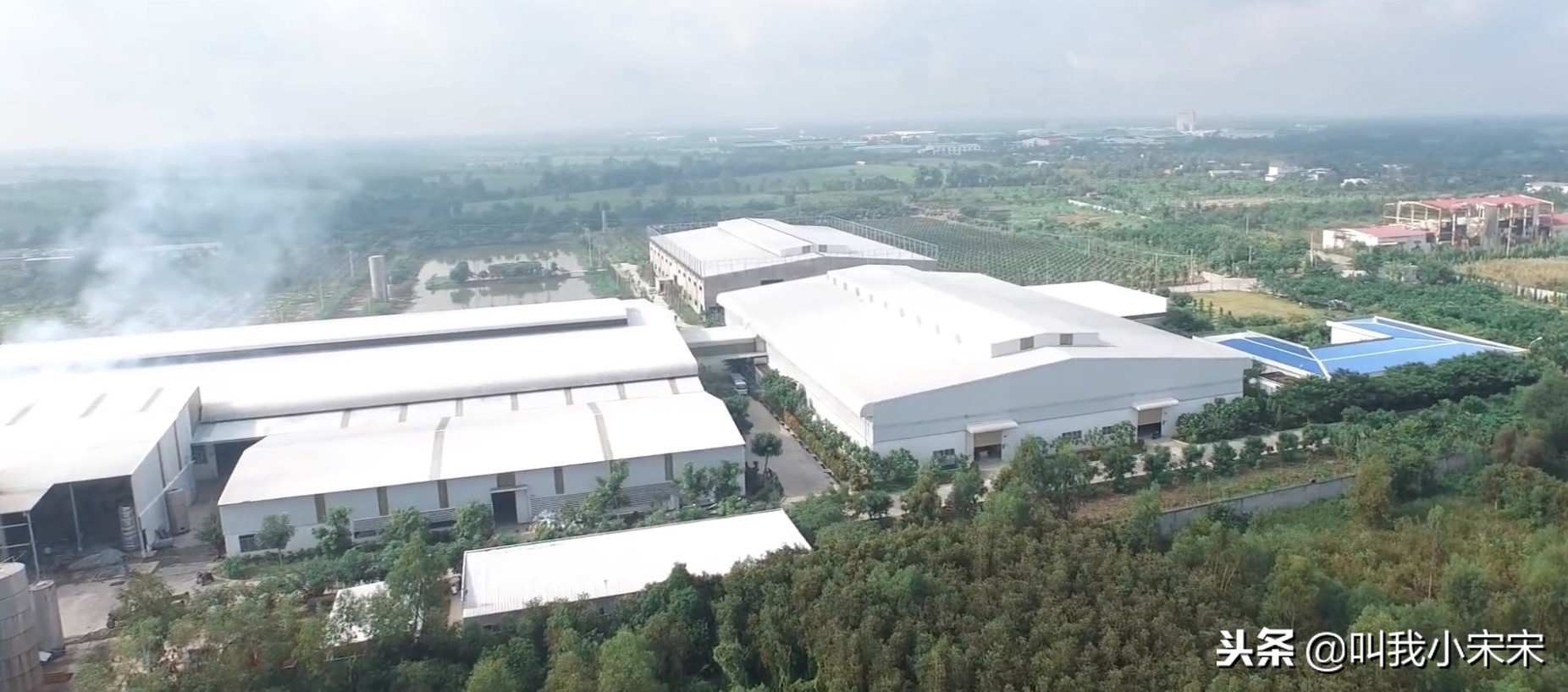 越南莲亚乳胶床垫价格,越南莲娜乳胶床垫